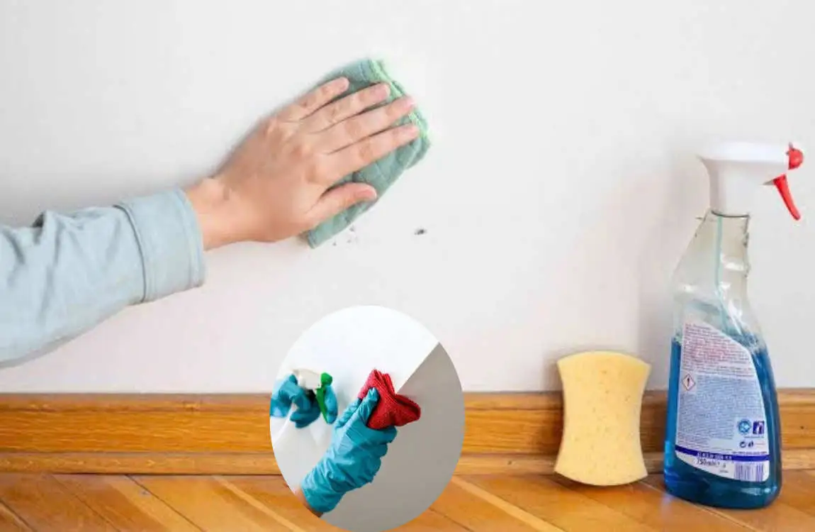 How to Clean Interior Walls:
